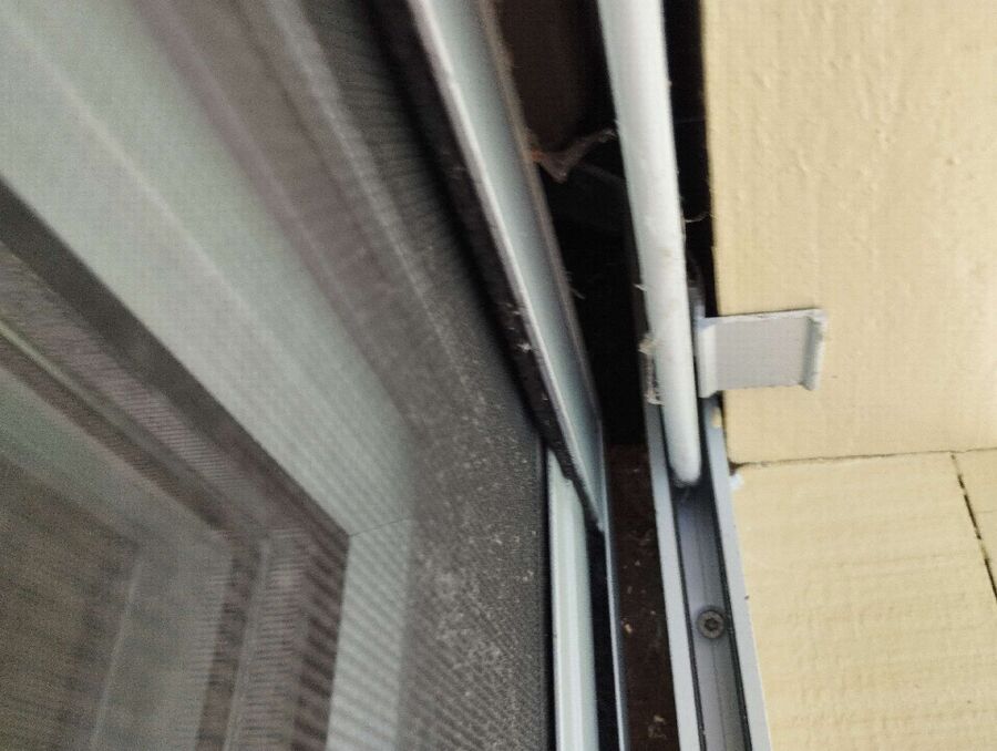 Bee nest at the house remove