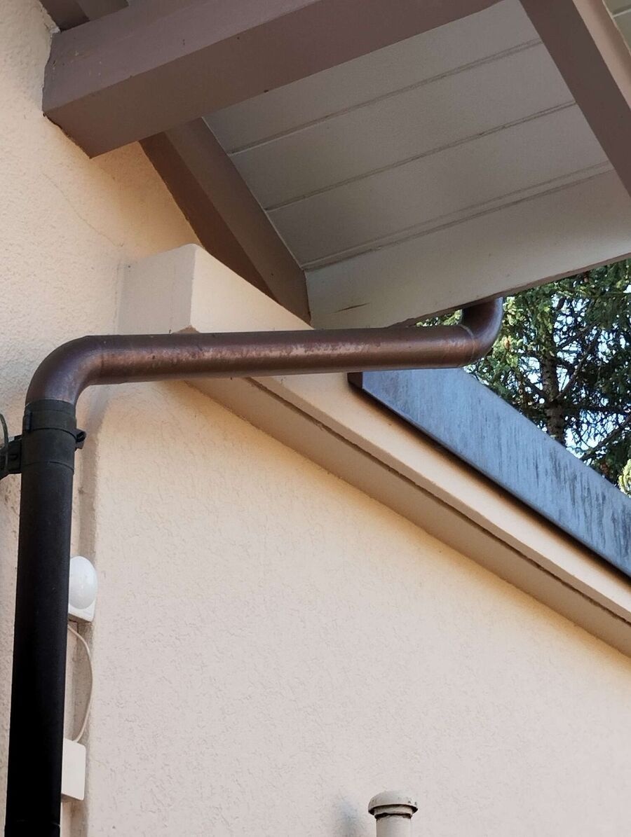 Bee nest at the house remove