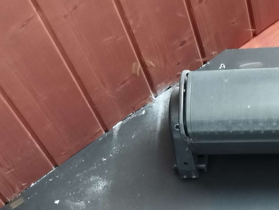 Relocate bees & remove bee nest