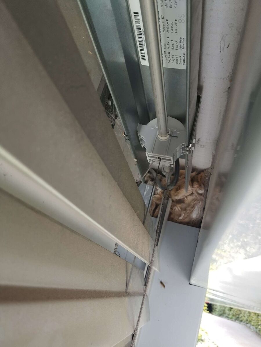 Bee nest at the house remove