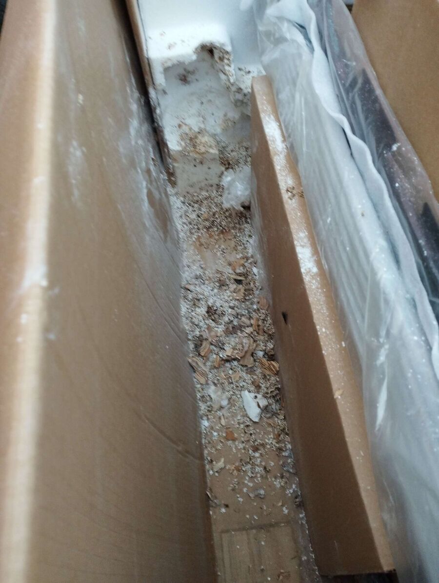 Bee nest at the house remove