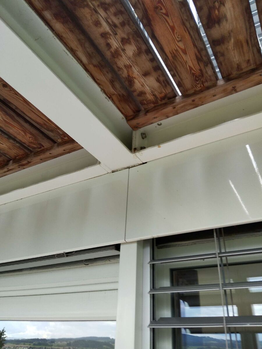 Relocate bees & remove bee nest