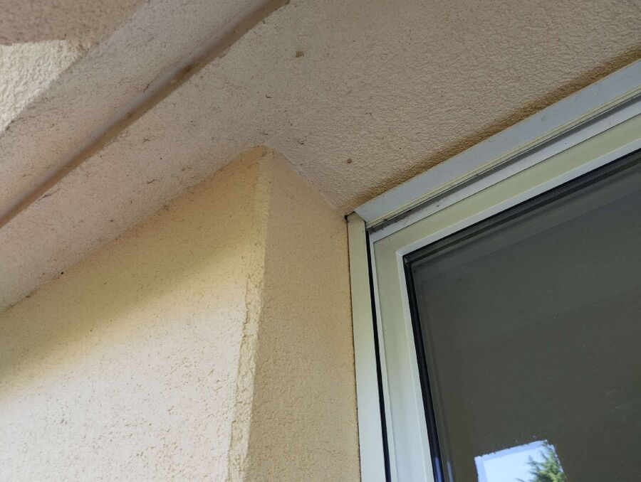 Bee nest at the house remove