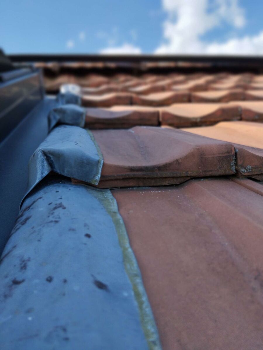 Bee nest at the house remove