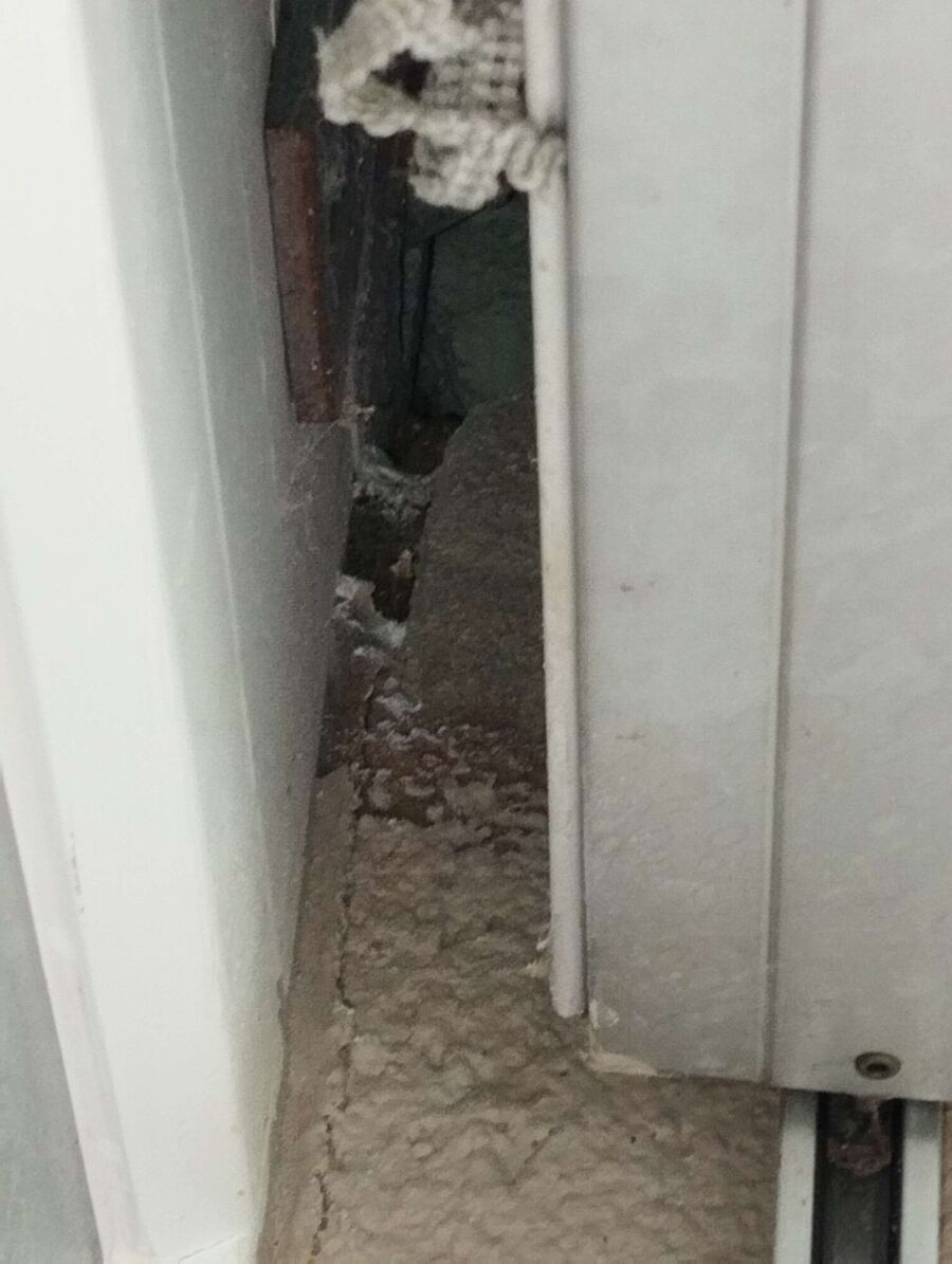 Bee nest at the house remove