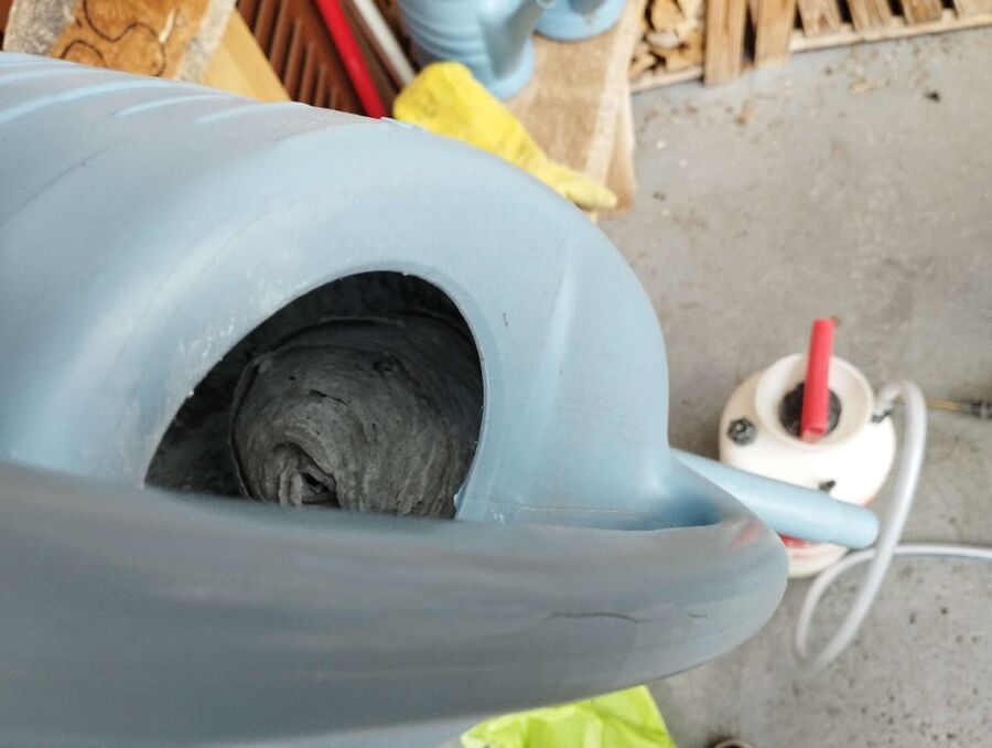 Relocate bees & remove bee nest