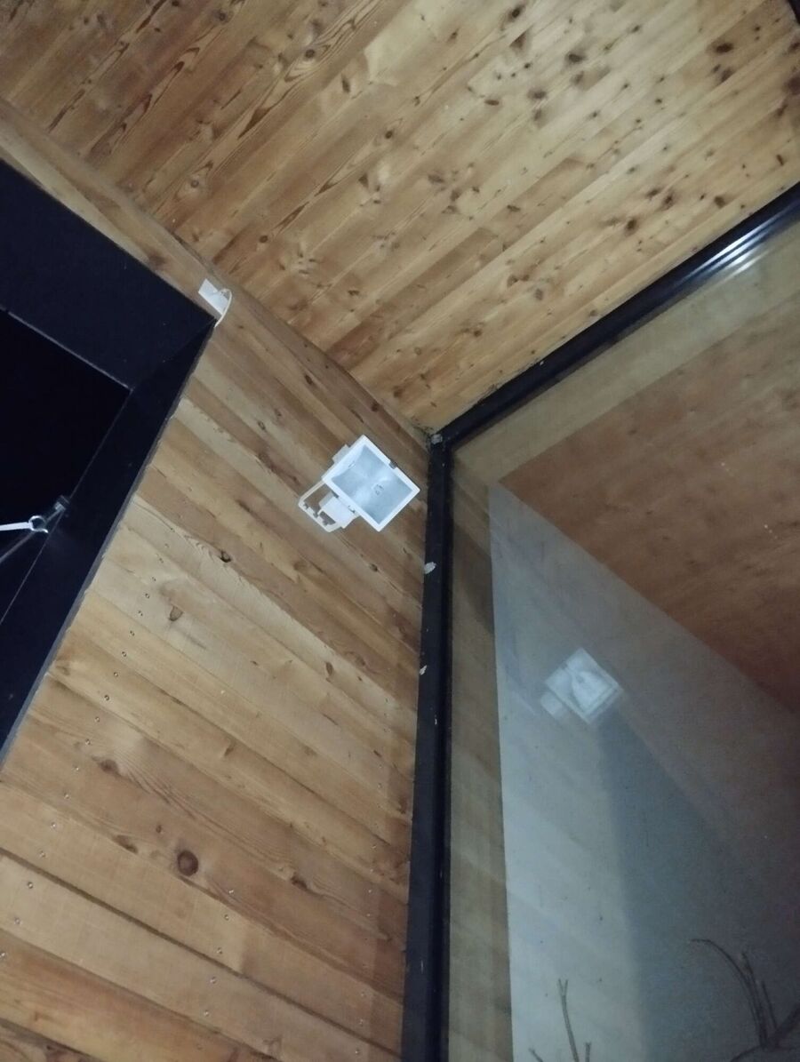 Relocate bees & remove bee nest