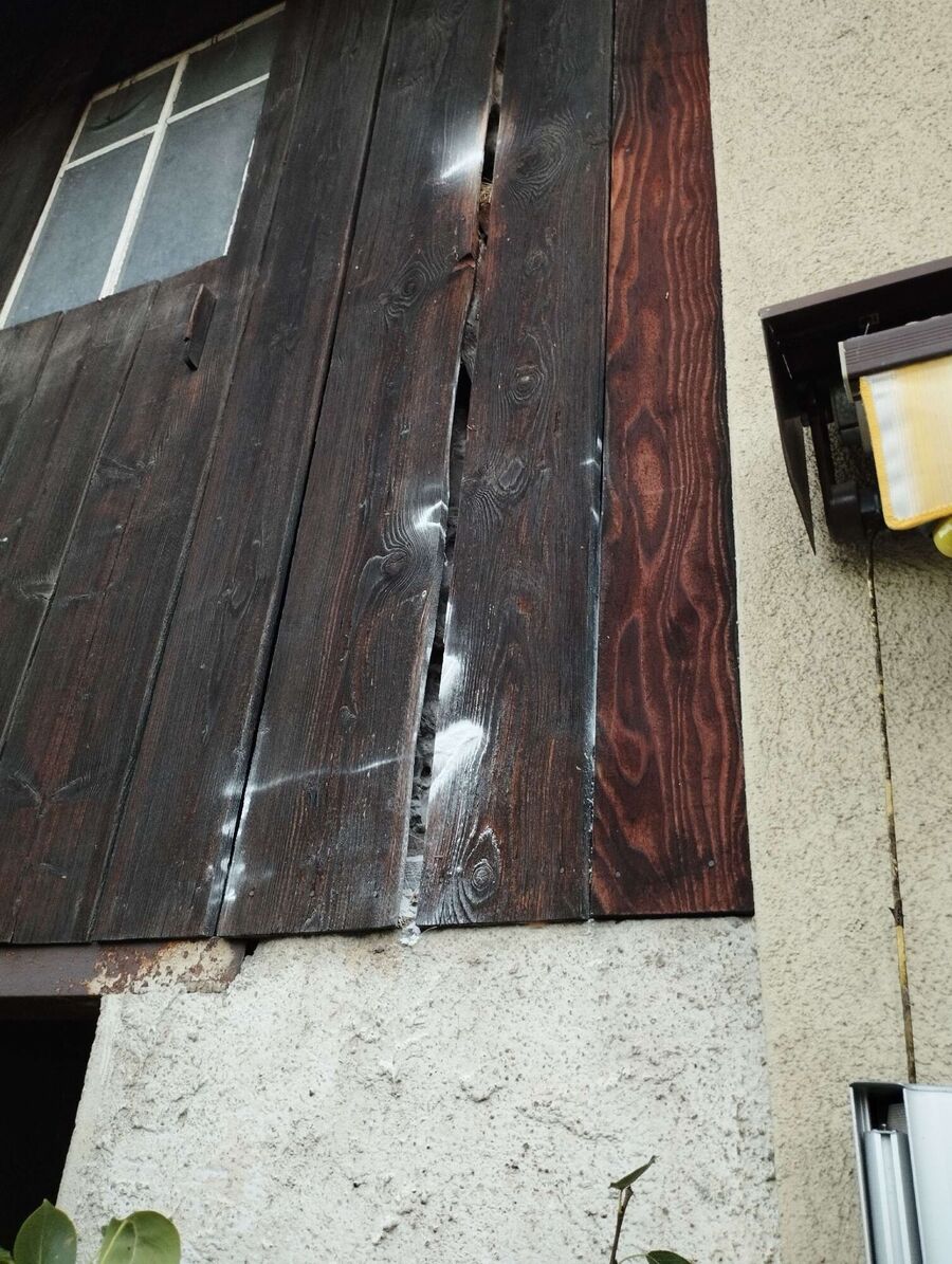 Bee nest at the house remove