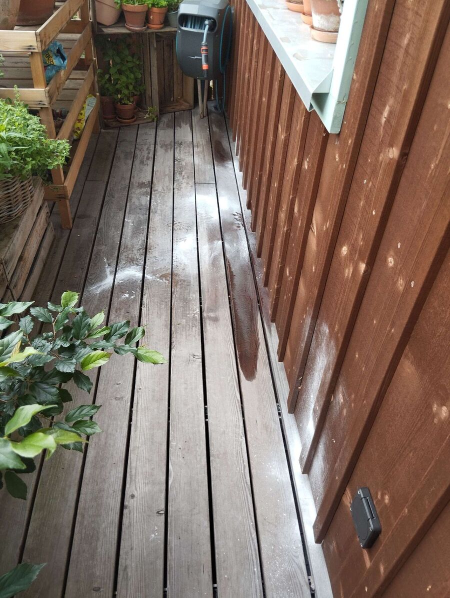 Bee nest at the house remove