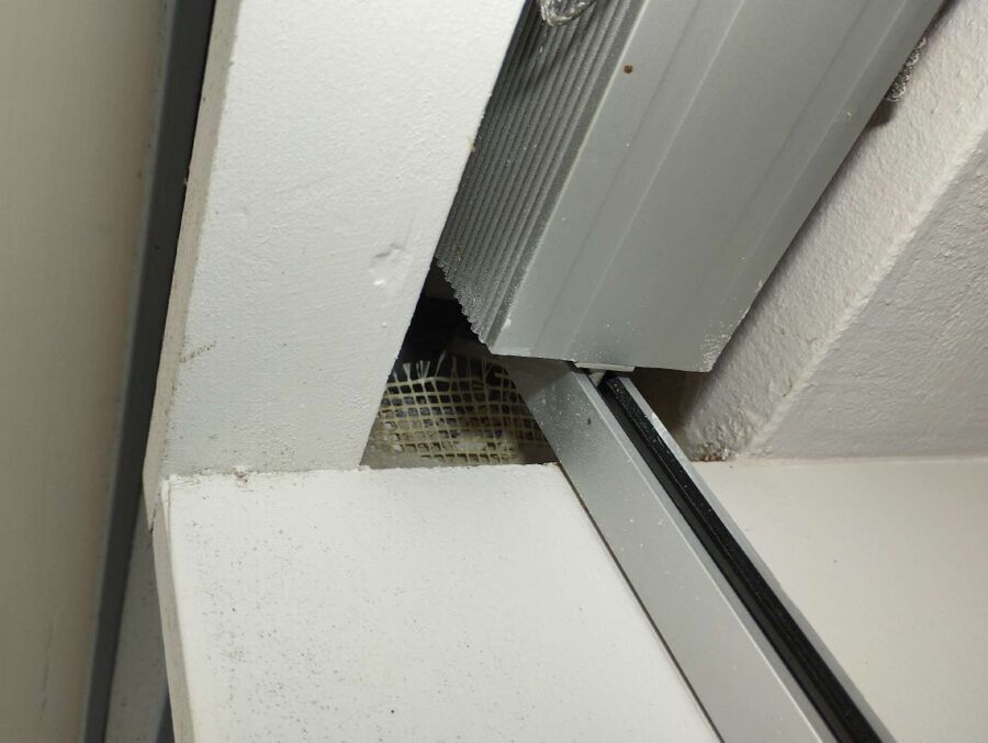 Bee nest at the house remove