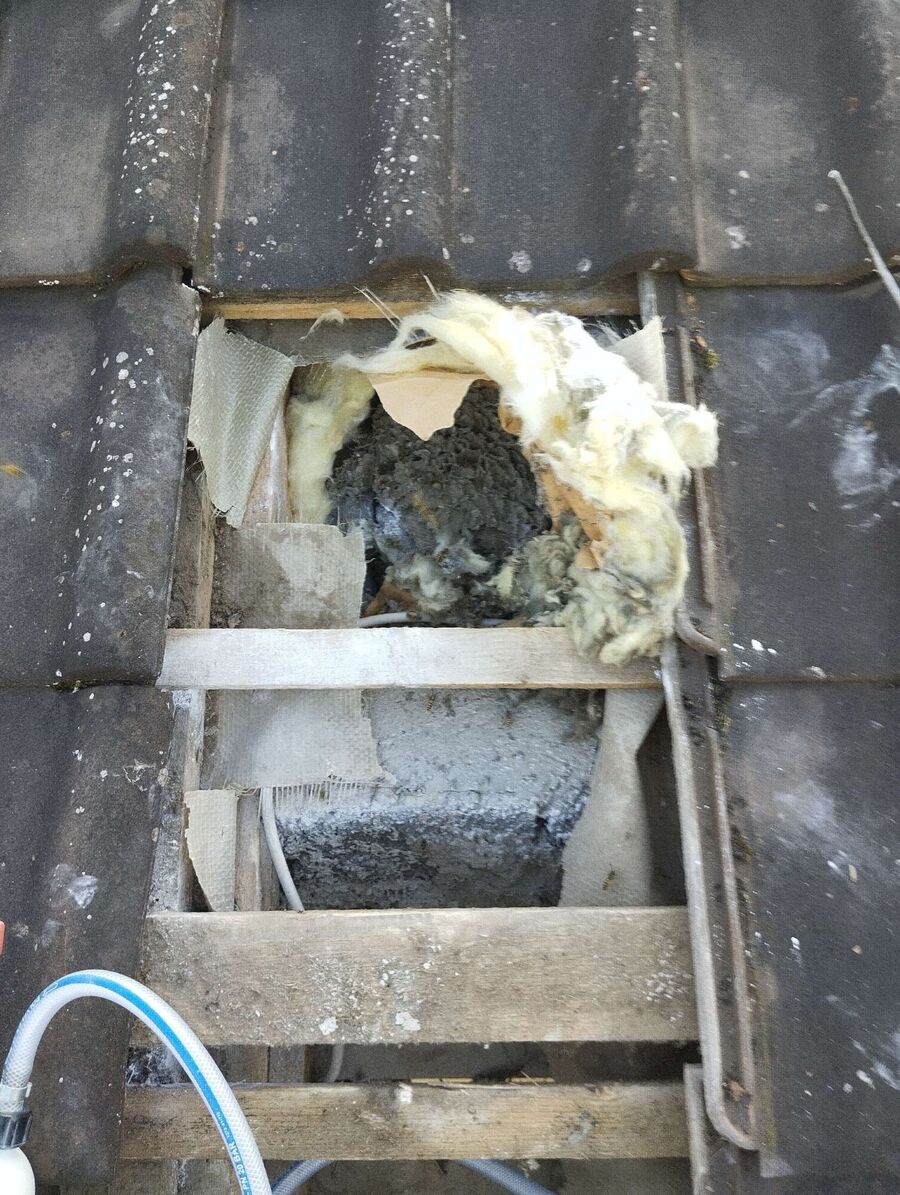 Bee nest at the house remove