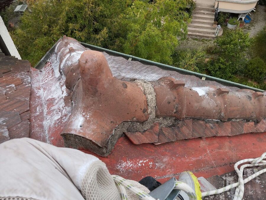 Relocate bees & remove bee nest