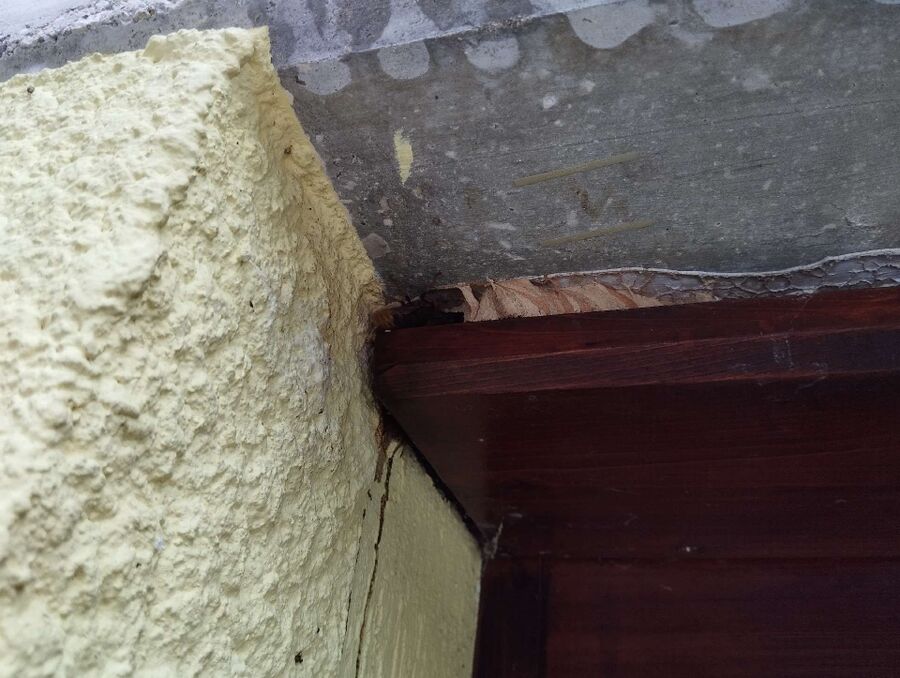 Bee nest at the house remove