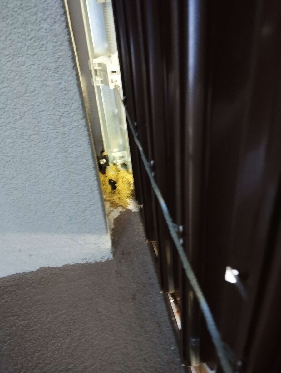 Relocate bees & remove bee nest