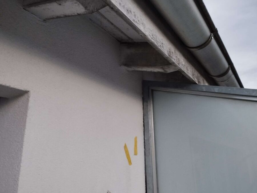 Bee nest at the house remove