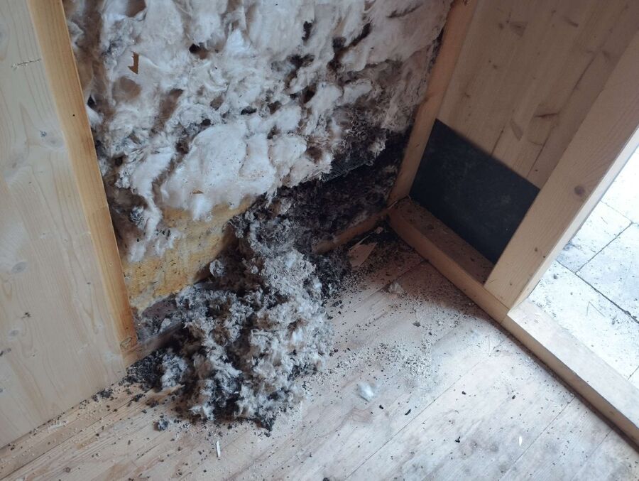 Bee nest at the house remove