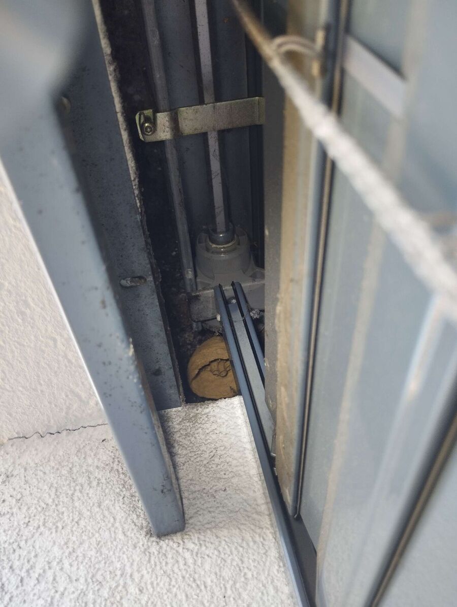 Bee nest at the house remove