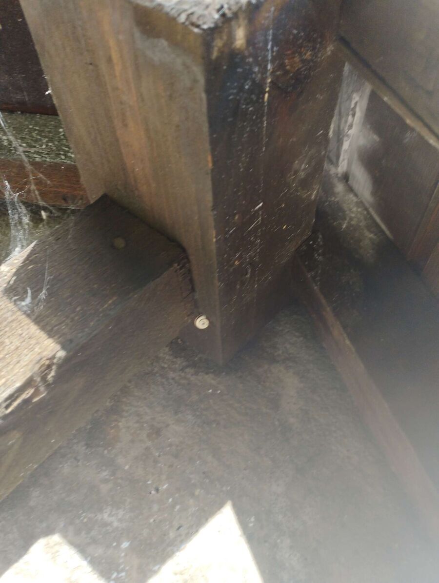 Bee nest at the house remove