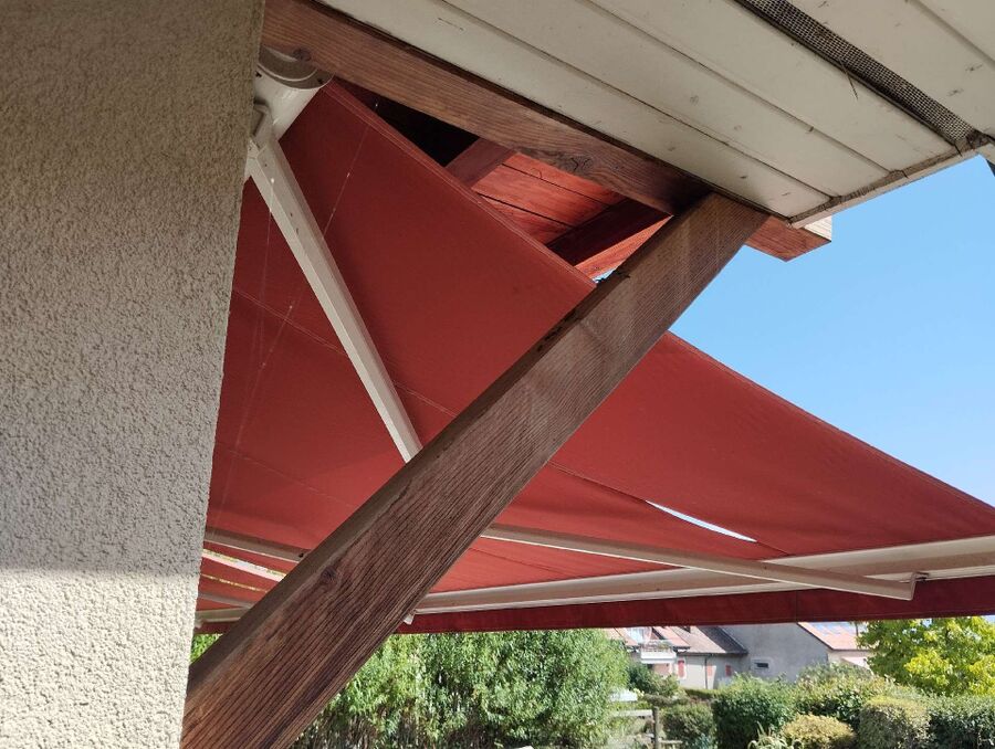 Bee nest at the house remove