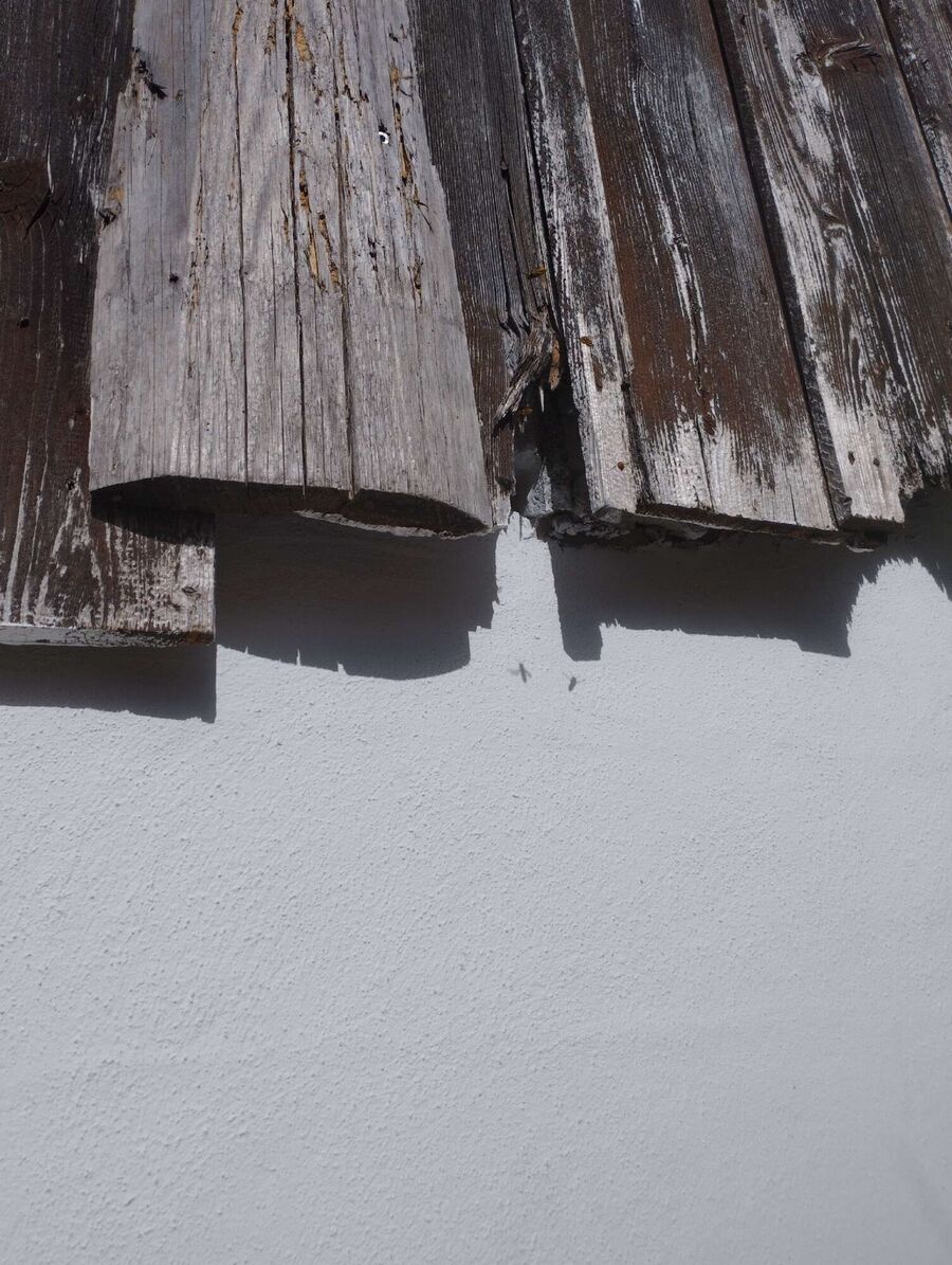 Bee nest at the house remove