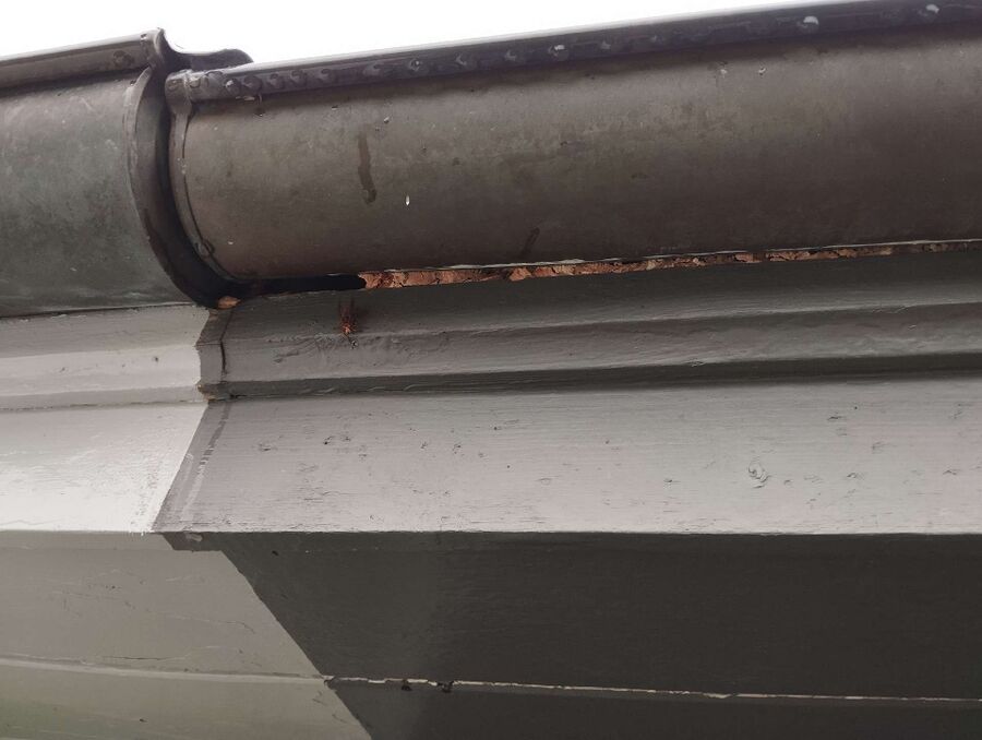 Bee nest at the house remove