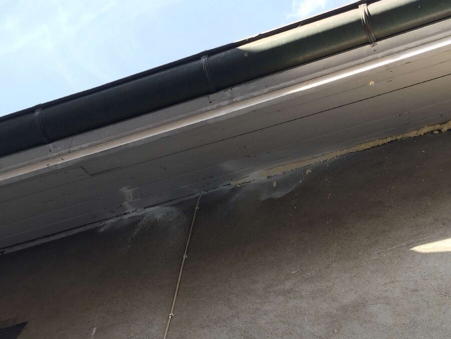 Bee nest at the house remove