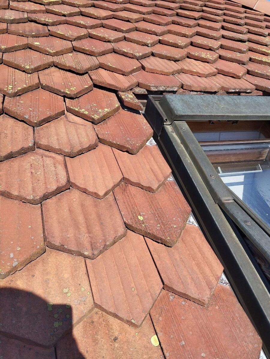 Bee nest at the house remove