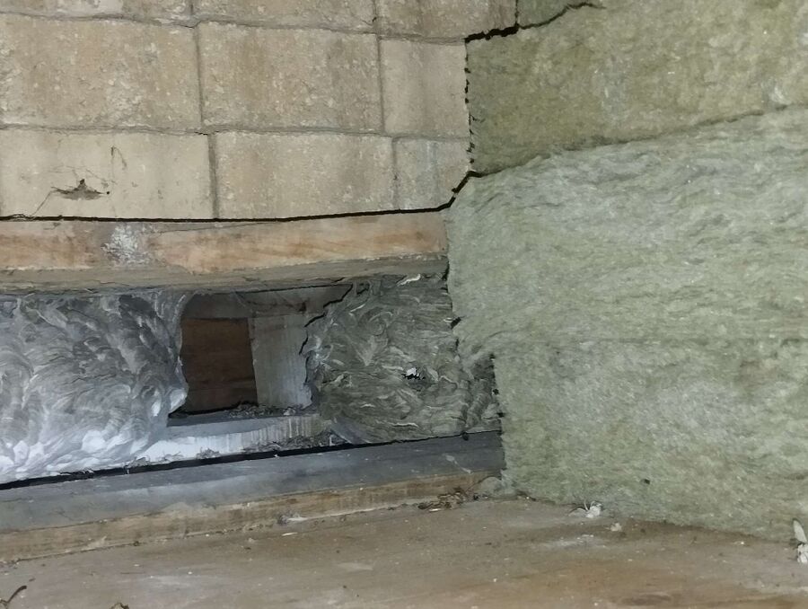 Relocate bees & remove bee nest