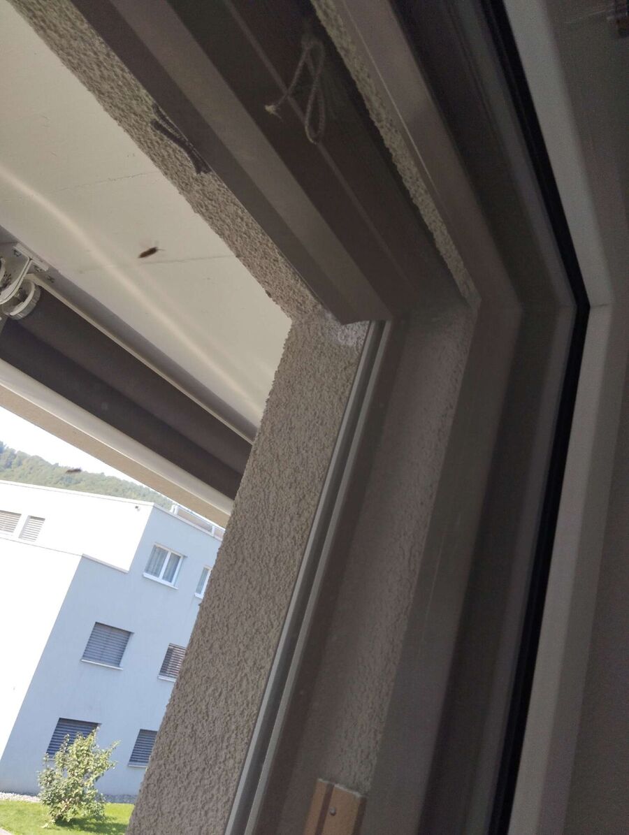 Bee nest at the house remove