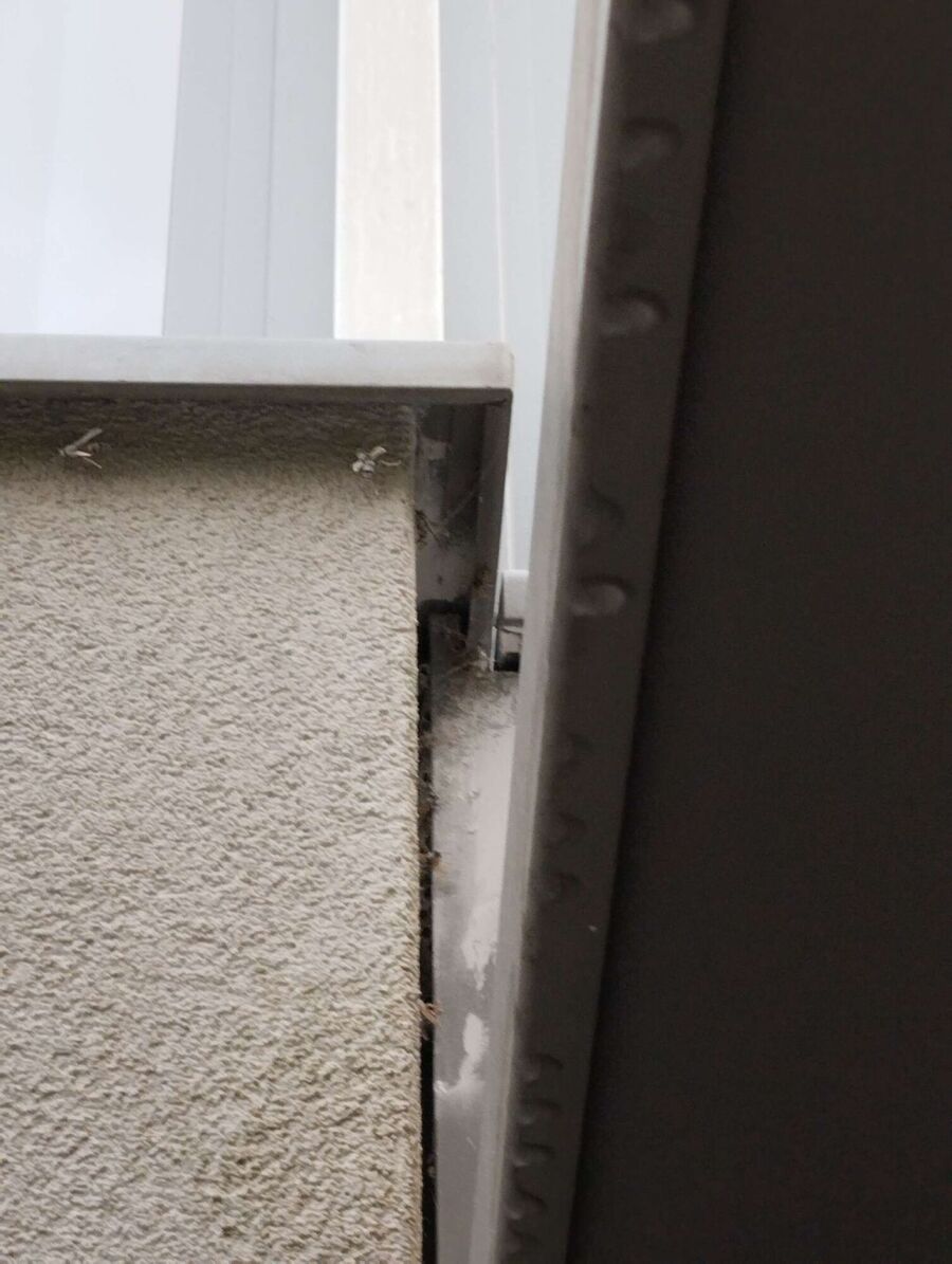 Bee nest at the house remove