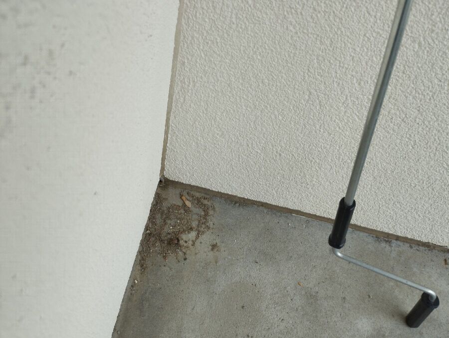 Bee nest at the house remove