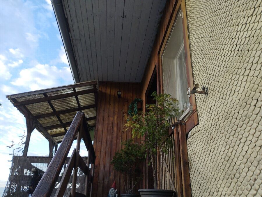 Relocate bees & remove bee nest