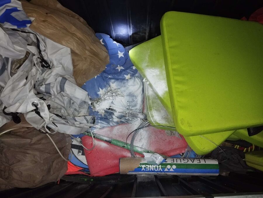 Relocate bees & remove bee nest