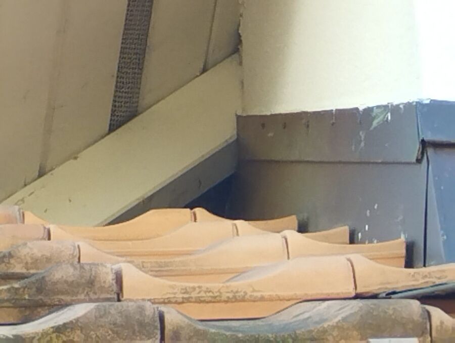 Bee nest at the house remove