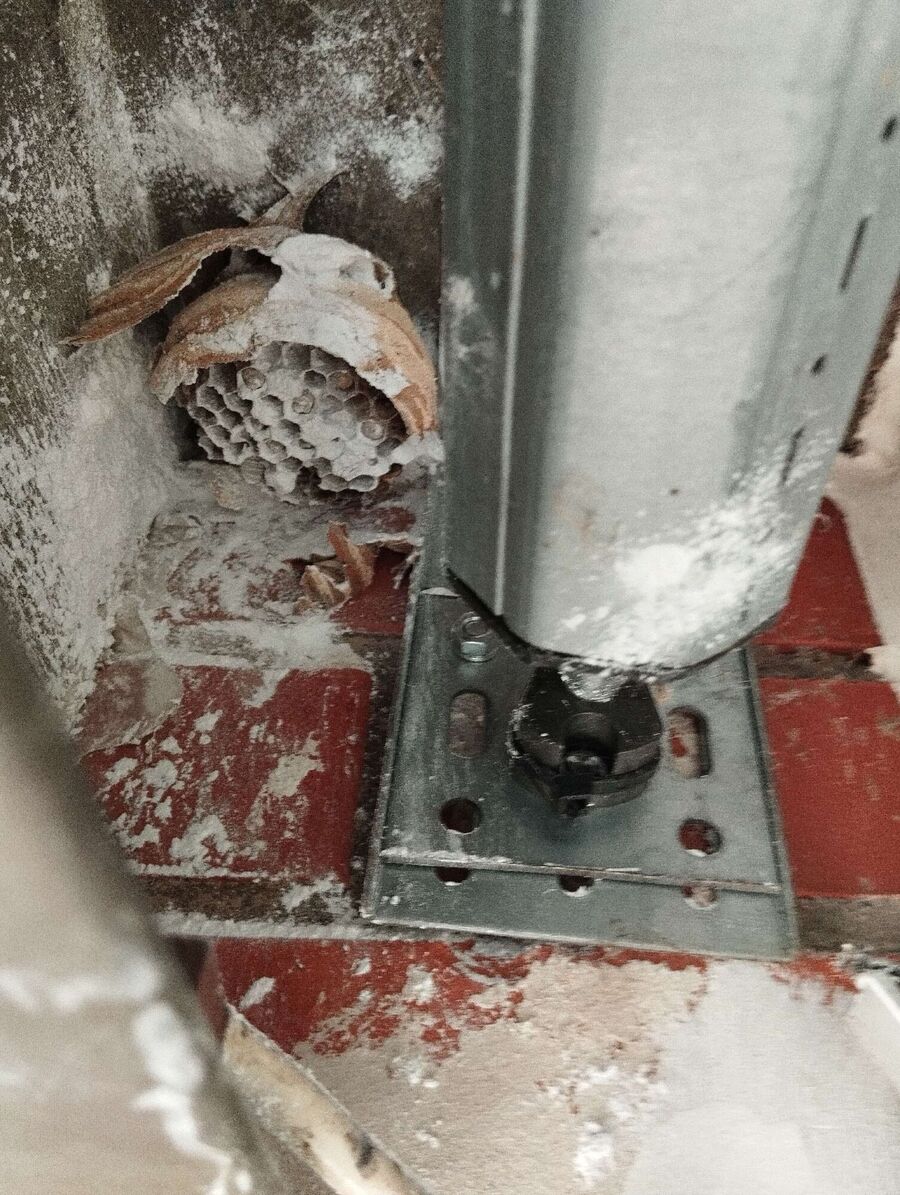 Bee nest at the house remove