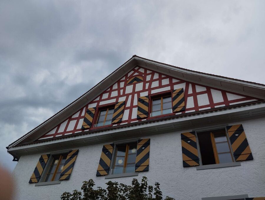 Relocate bees & remove bee nest