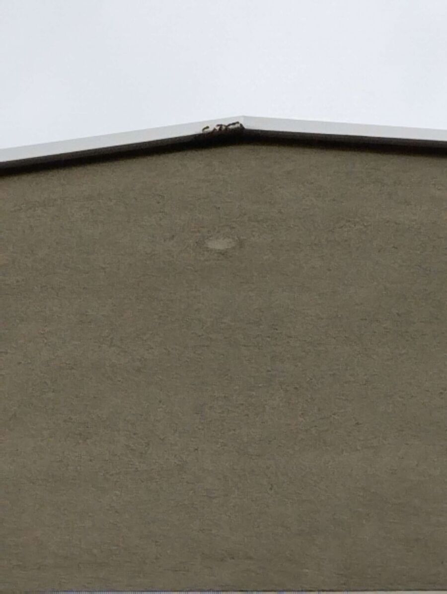 Bee nest at the house remove