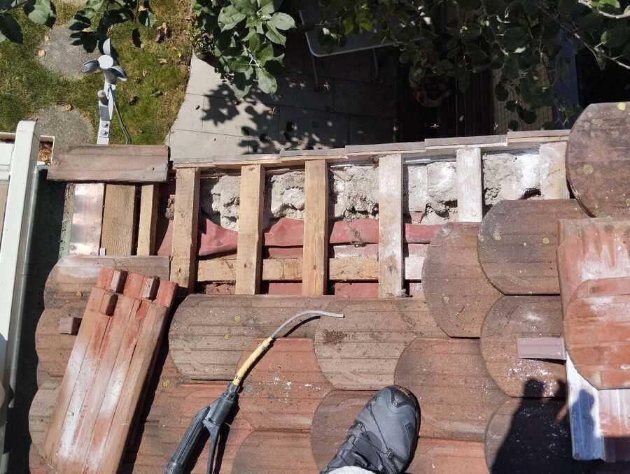 Relocate bees & remove bee nest