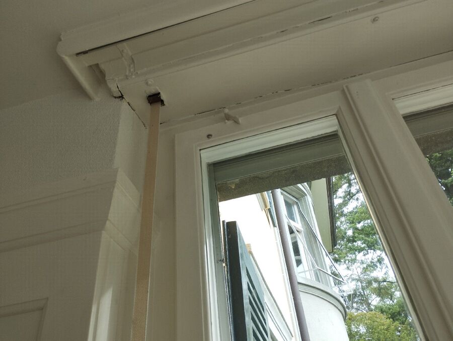 Relocate bees & remove bee nest