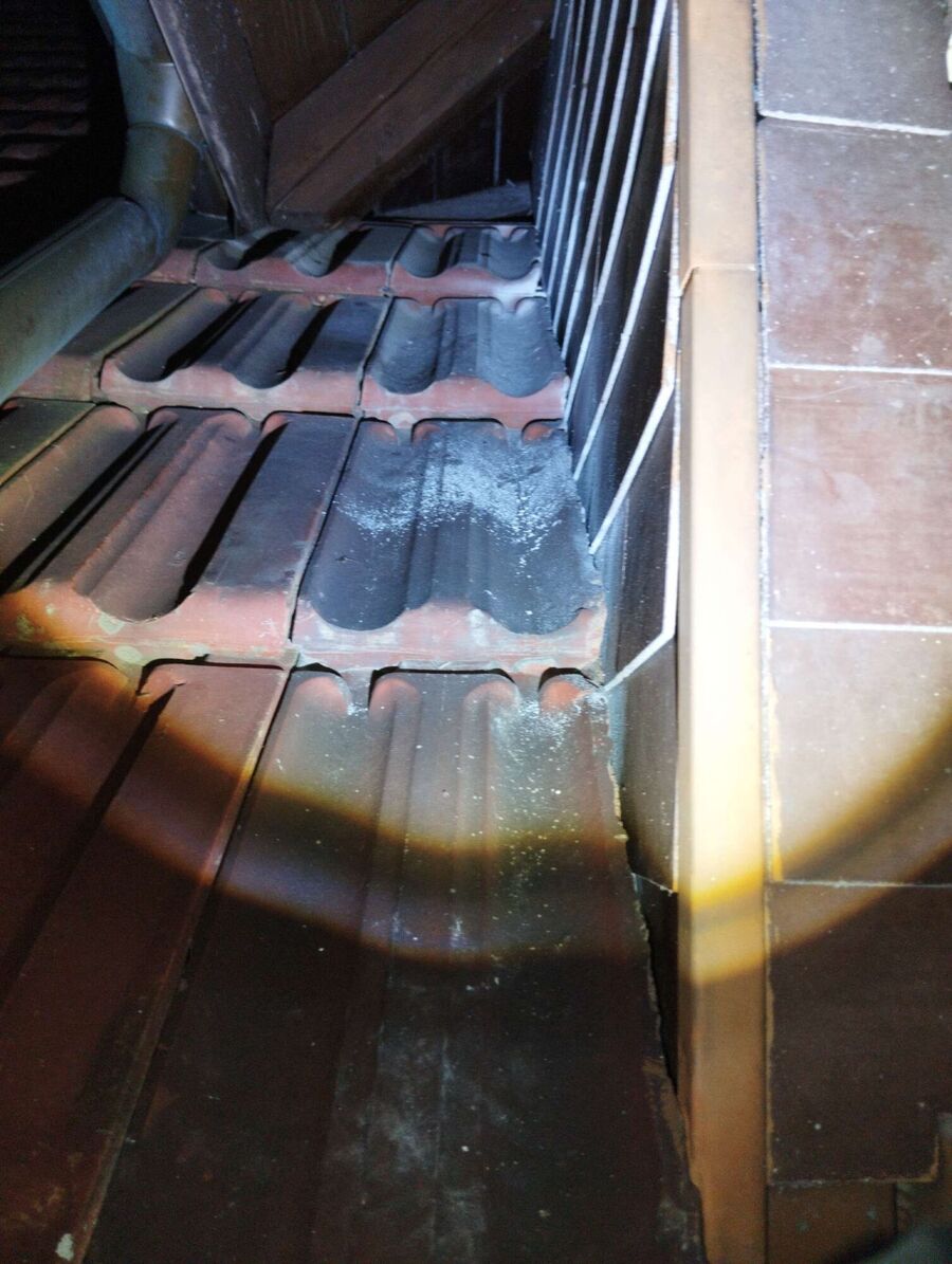 Bee nest at the house remove