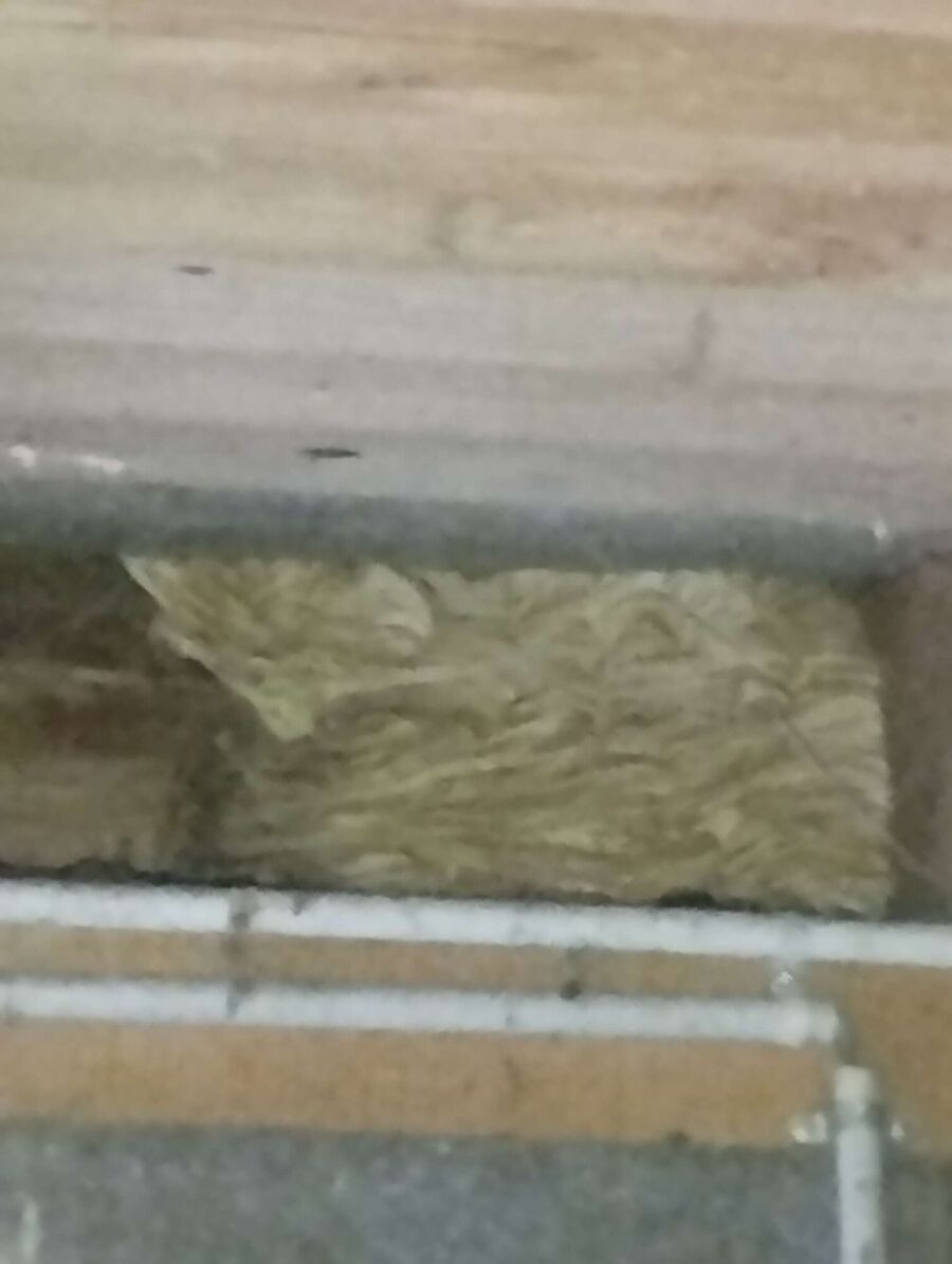 Relocate bees & remove bee nest