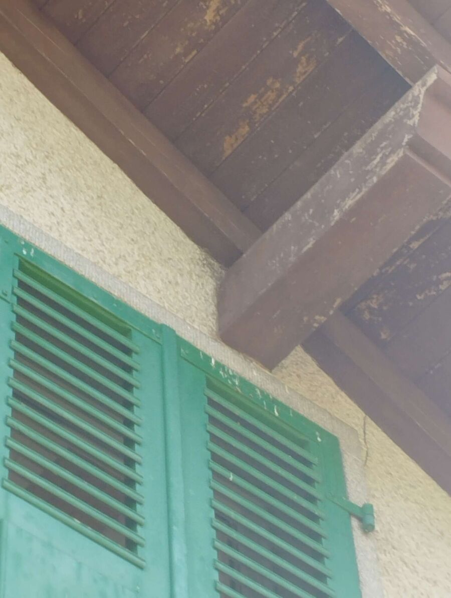 Bee nest at the house remove