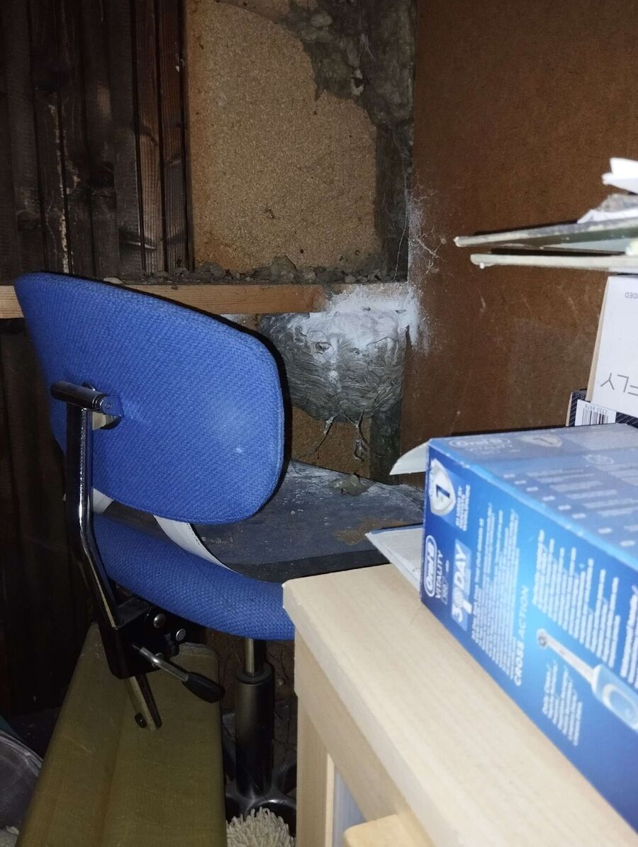 Bee nest at the house remove