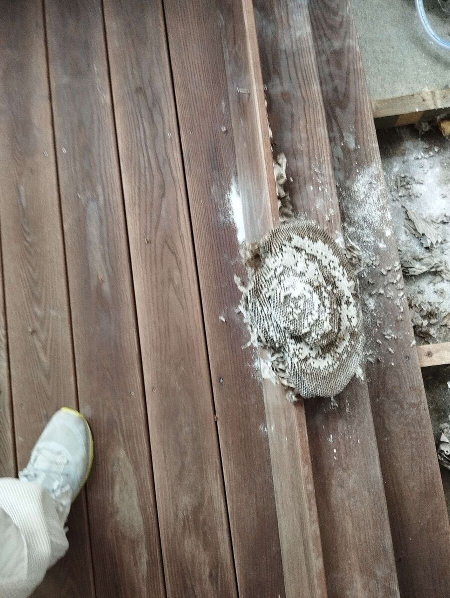 Remove bee nest