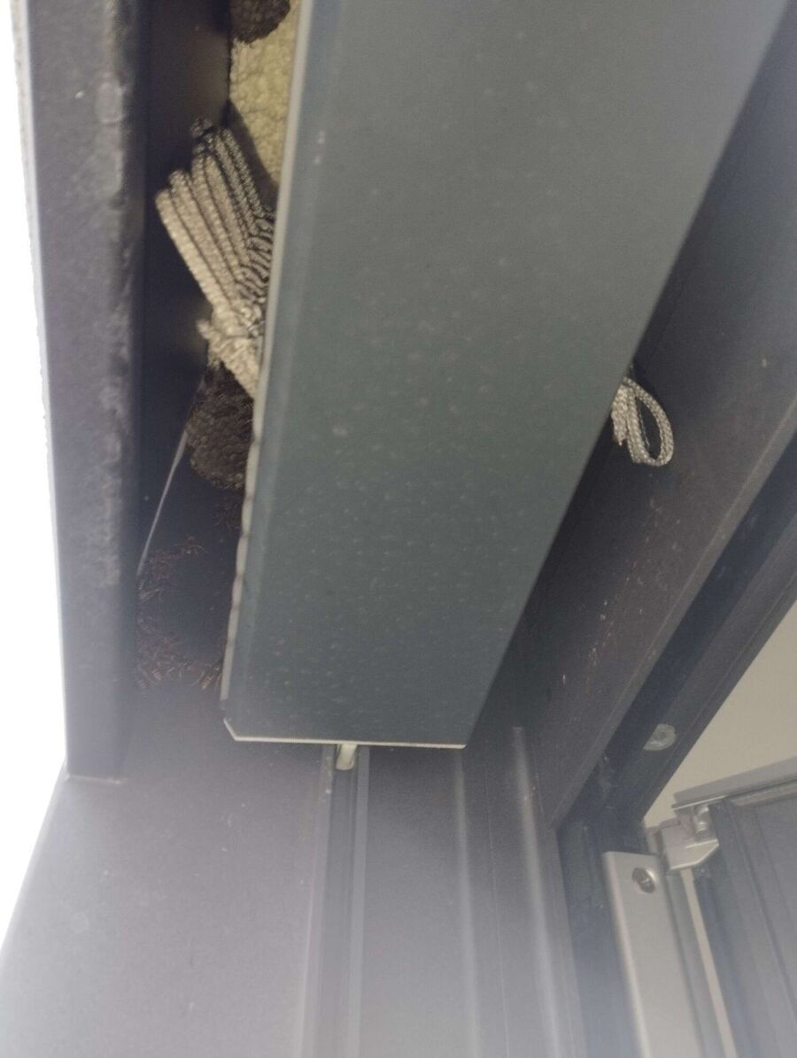 Relocate bees & remove bee nest