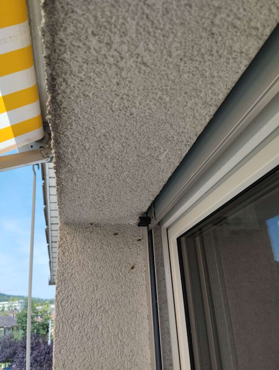 Bee nest at the house remove