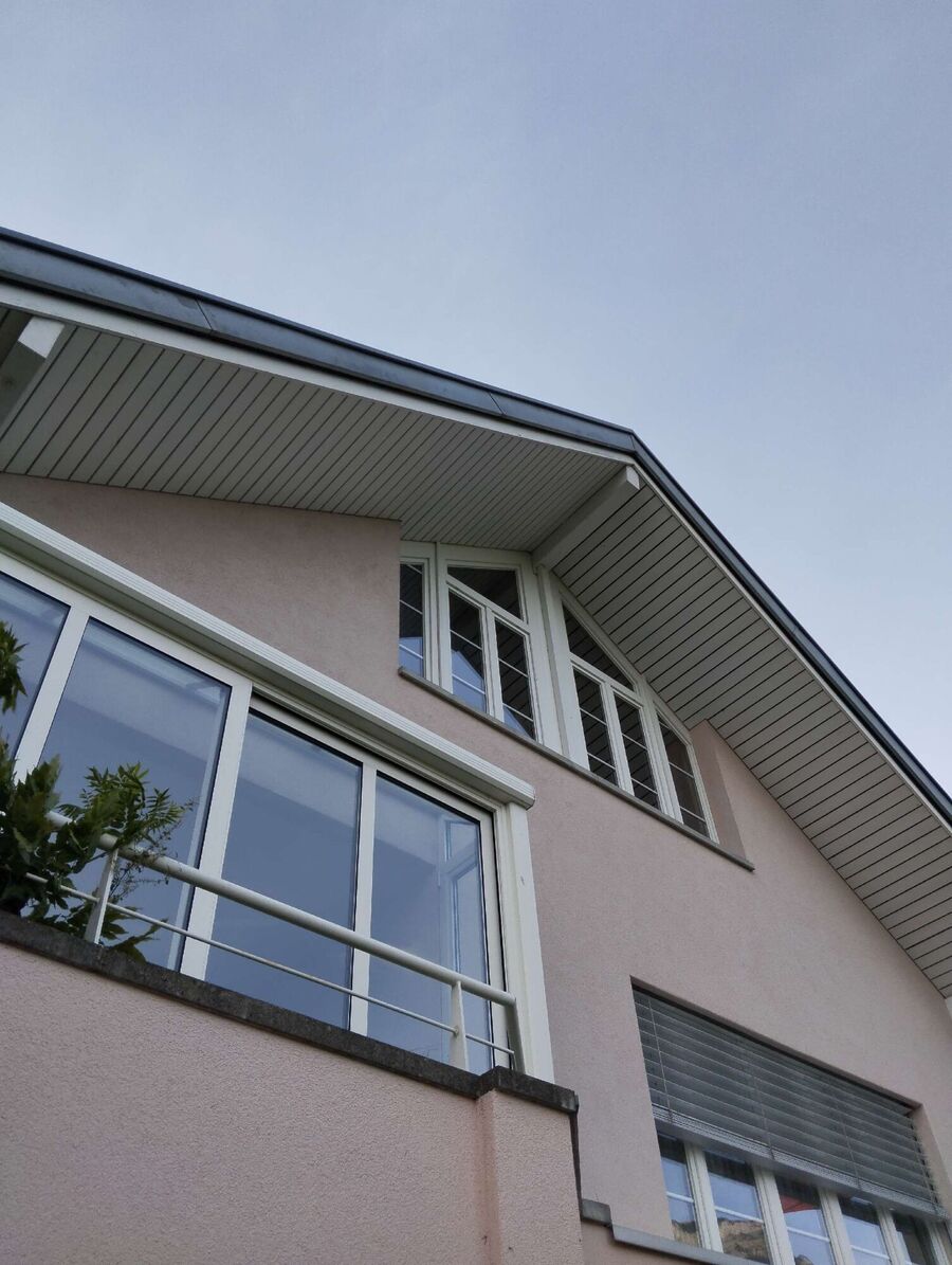 Bee nest at the house remove