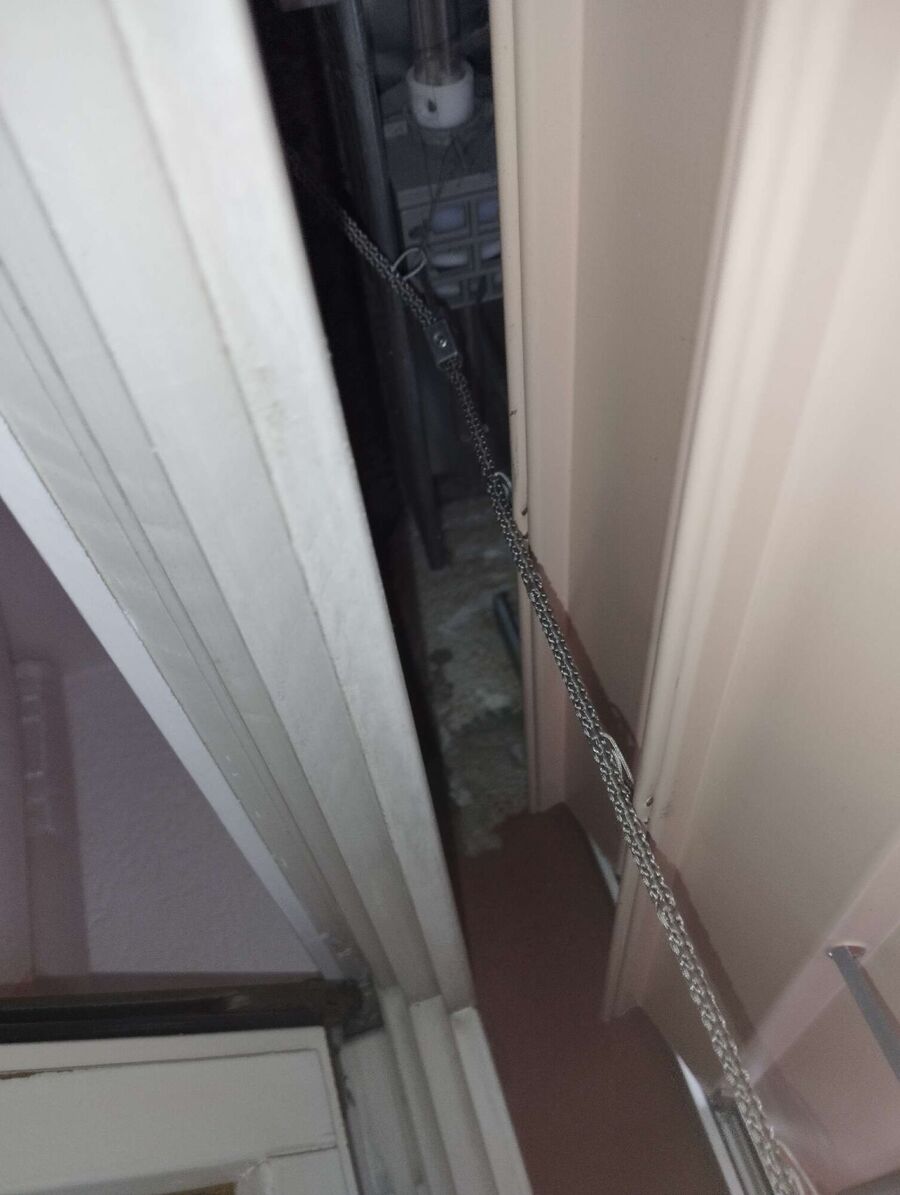 Relocate bees & remove bee nest