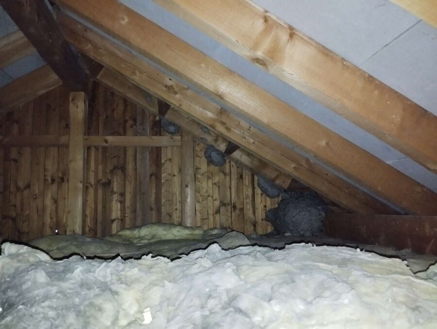 Bee nest at the house remove