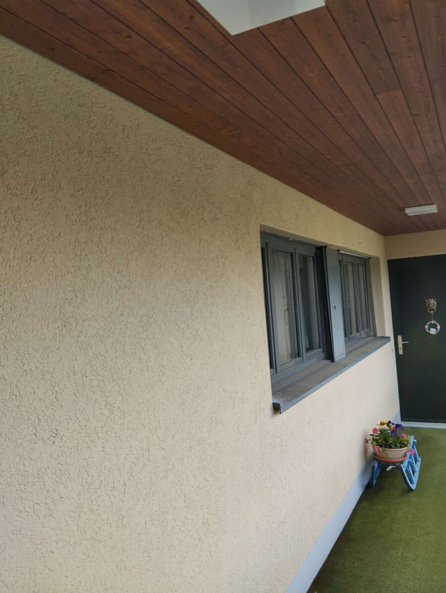 Bee nest at the house remove